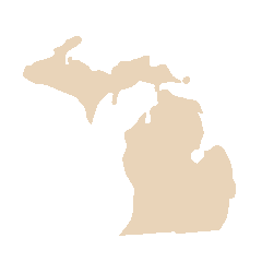 Shape of the Michigan State